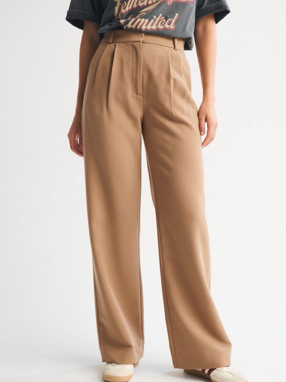 Abercrombie & Fitch High-Rise Wide-Leg Sloane Pants in Camel